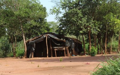 Campesinos e indígenas se unen en defensa de su territorio